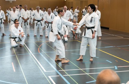 Kawasoe shihan Memorial Lehrgang Aarau 2023