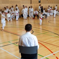 Karate Osterr.Meisterschaft 2024 026