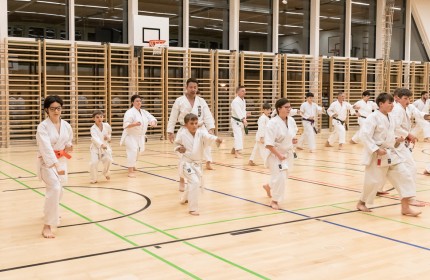 Abendlehrgang Kanazawa Fumitoshi sensei 2025