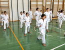 080  dsc8370