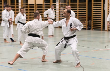 Herbstbesuch Tankaka sensei 2024